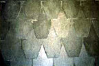 Bashan Green
